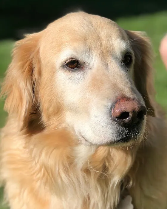 Henniker Veterinary Hospital 3