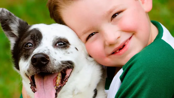 Compassion Vet Hospital 4