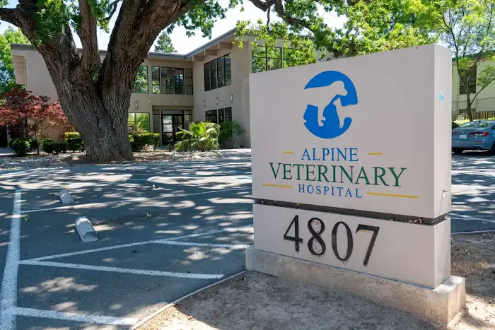 Compassion Vet Hospital 10