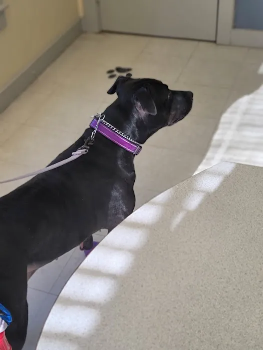 Glen Lake Animal Hospital 6