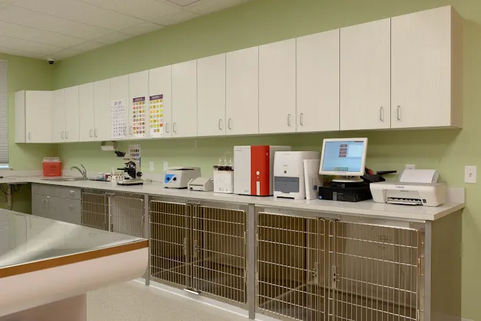 Bedford Veterinary Medical Center 8