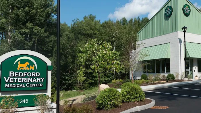 Bedford Veterinary Medical Center 3