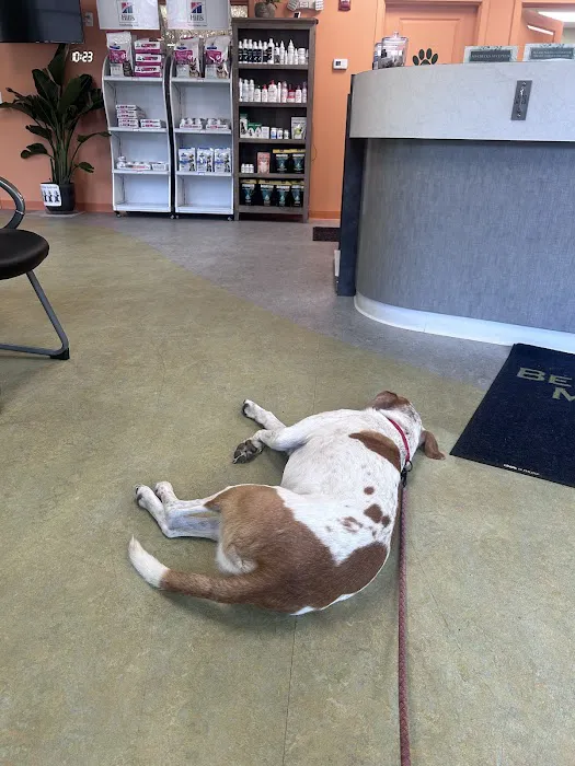 Bedford Veterinary Medical Center 2