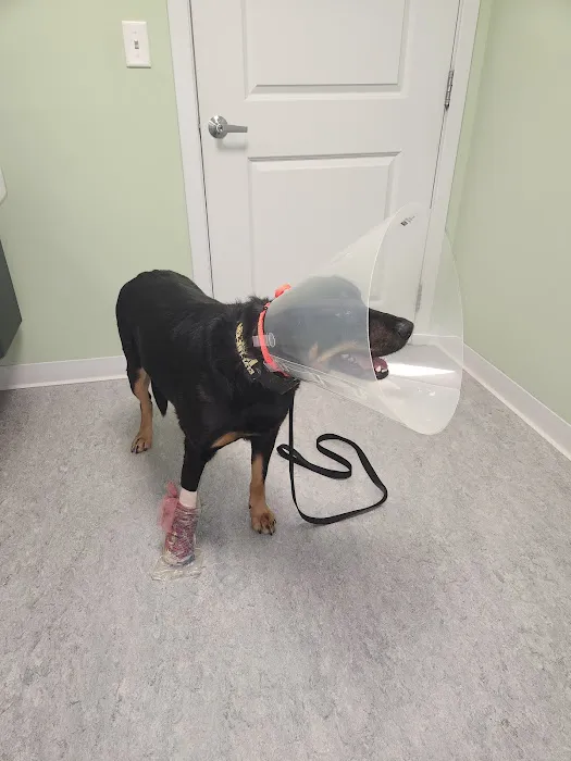 Bedford Pet Urgent Care 3