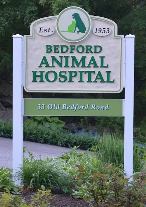 Bedford Animal Hospital 6