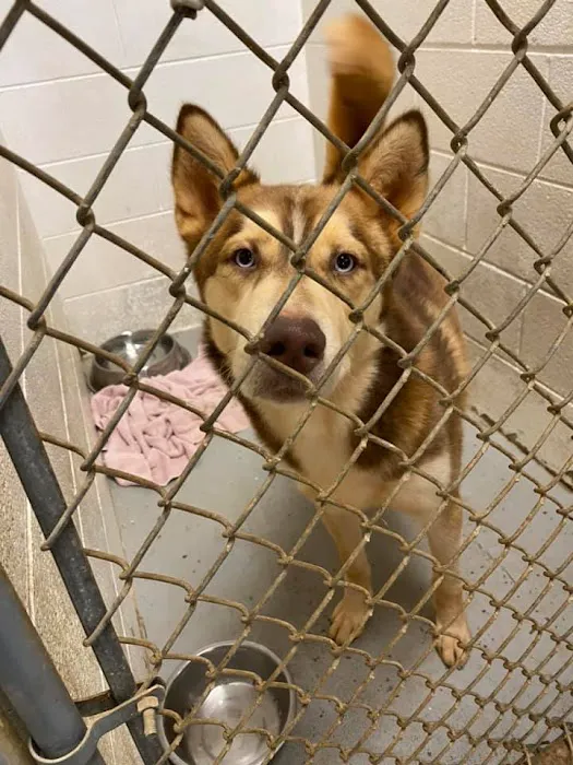 Bedford Animal Hospital 9