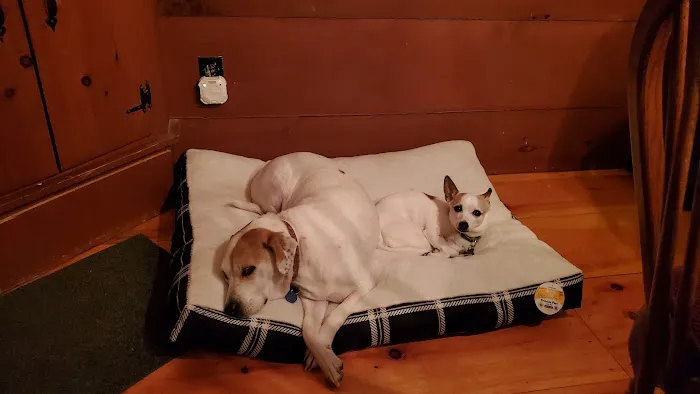 Goffstown Animal Hospital 1