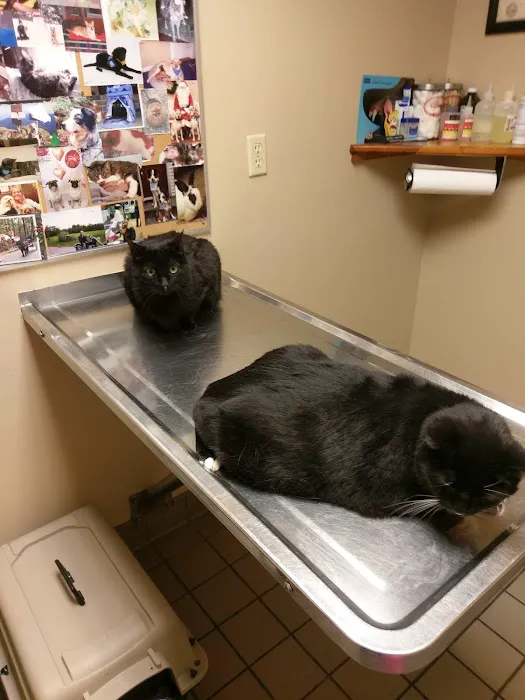 Goffstown Animal Hospital 7
