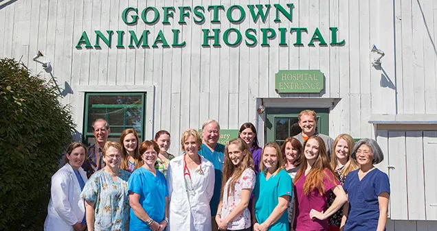 Goffstown Animal Hospital 4