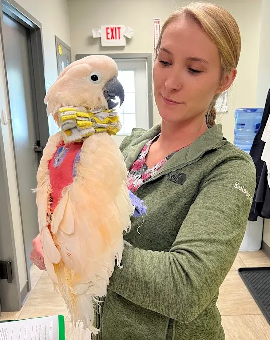 Hopkinton Animal Hospital 4