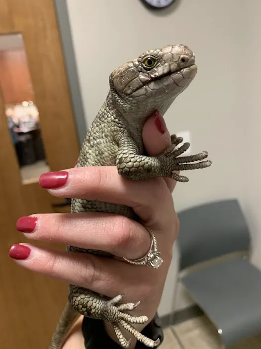 Hopkinton Animal Hospital 2