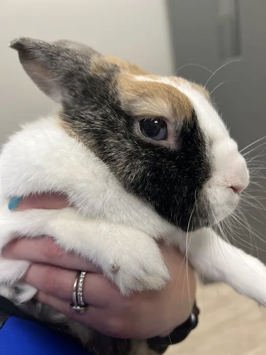 Hopkinton Animal Hospital 6