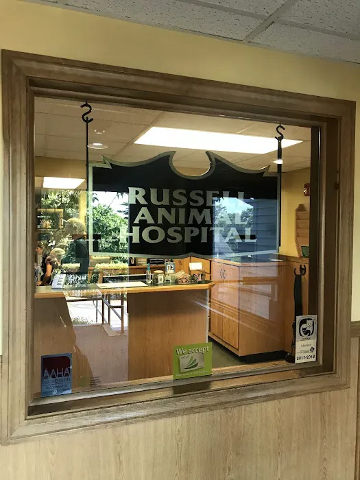 VCA Russell Animal Hospital 7