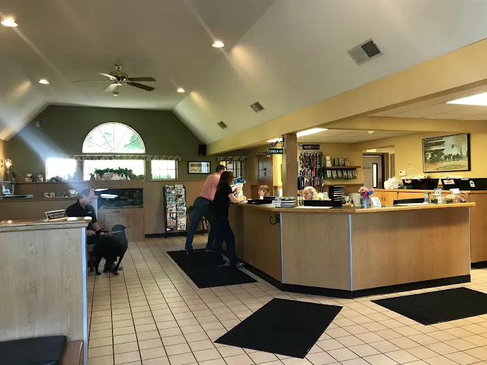 VCA Russell Animal Hospital 4