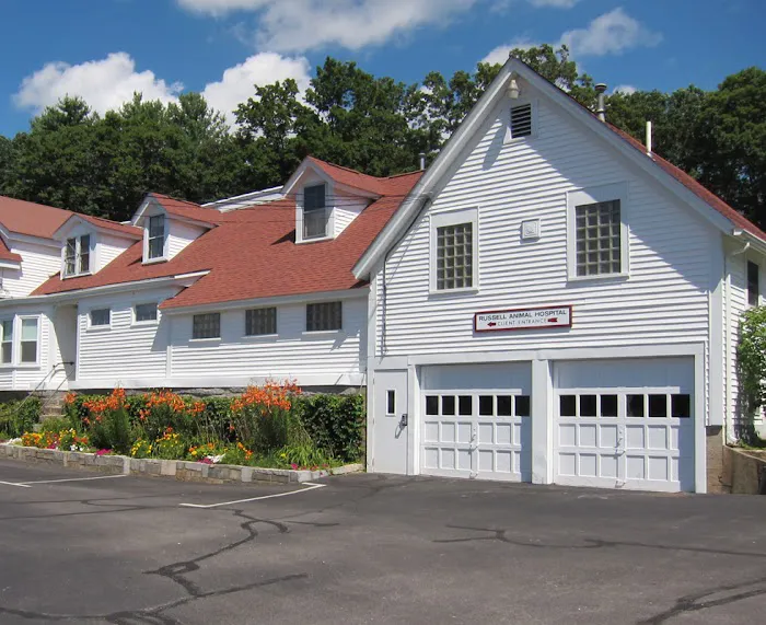VCA Russell Animal Hospital 10