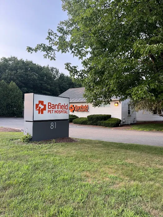Banfield Pet Hospital 2