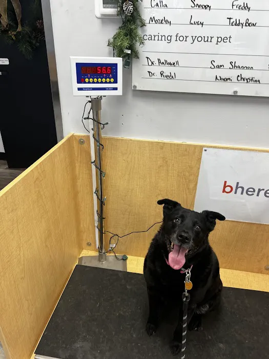 Banfield Pet Hospital 8