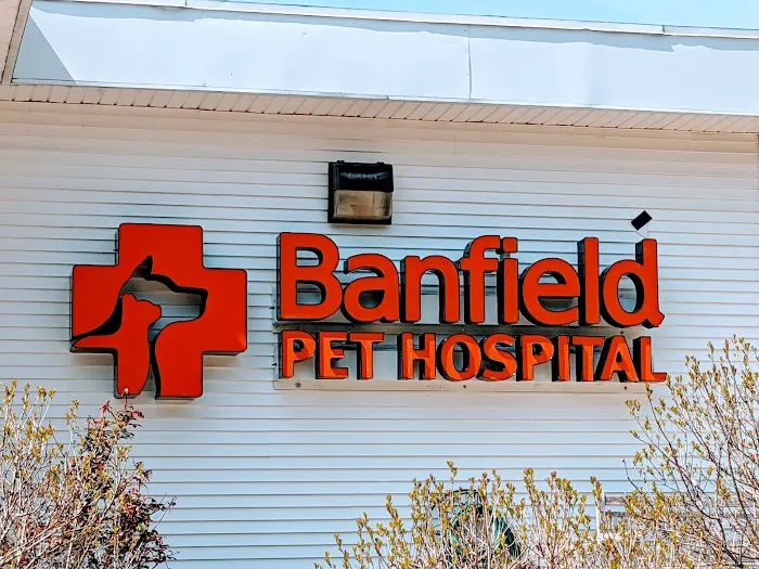 Banfield Pet Hospital 6