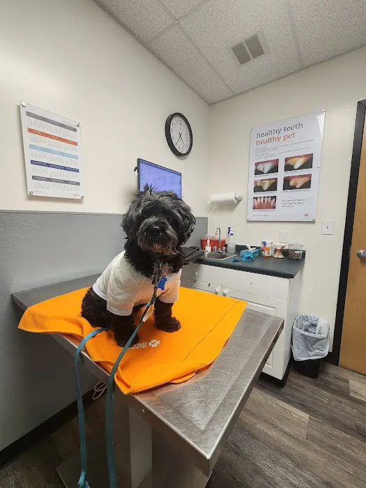 Banfield Pet Hospital 5