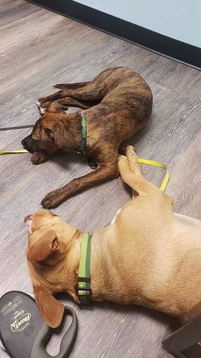Banfield Pet Hospital 4