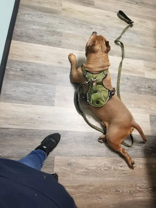 Mercy Animal Hospital: Kaas Richard E DVM 1