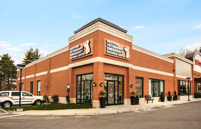 Westford Veterinary Emergency and Referral Center 1