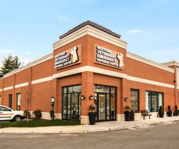 Westford Veterinary Emergency and Referral Center