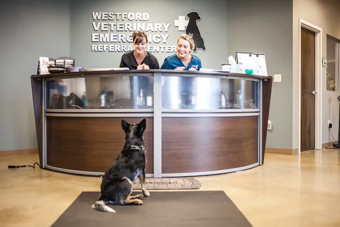 Westford Veterinary Emergency and Referral Center 5