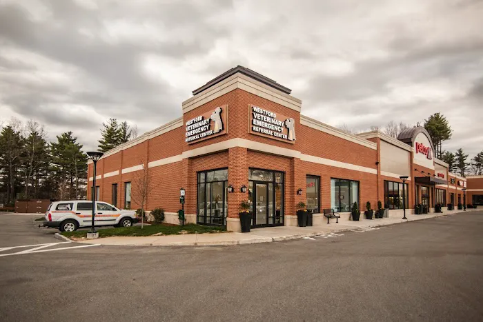 Westford Veterinary Emergency and Referral Center 3