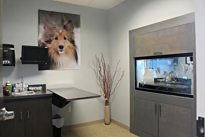 Westford Veterinary Emergency and Referral Center 4