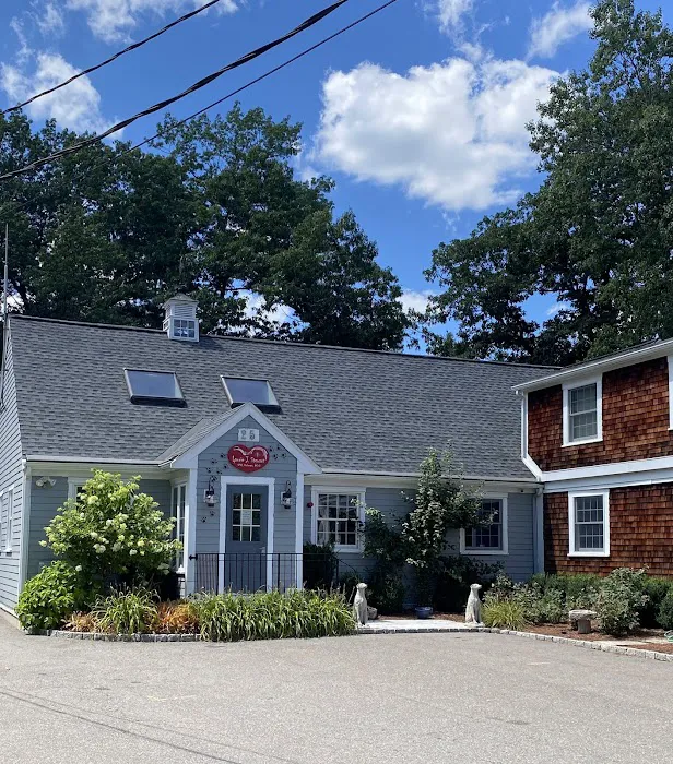 Veterinary Dermatology of New England 3