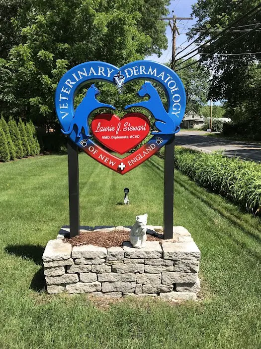 Veterinary Dermatology of New England 5