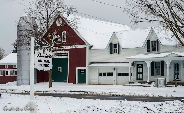 Dunstable Animal Clinic 3