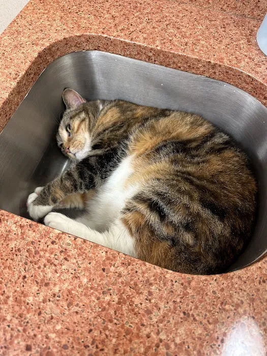 Countryside Veterinary Hospital 9
