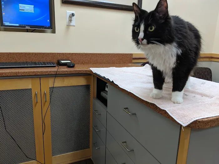 Countryside Veterinary Hospital 6