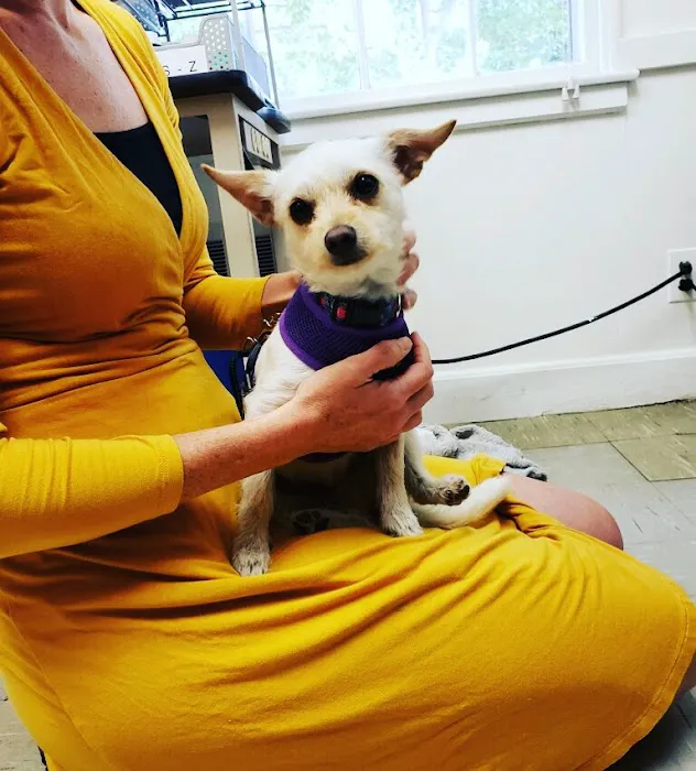 Concord Animal Hospital 2