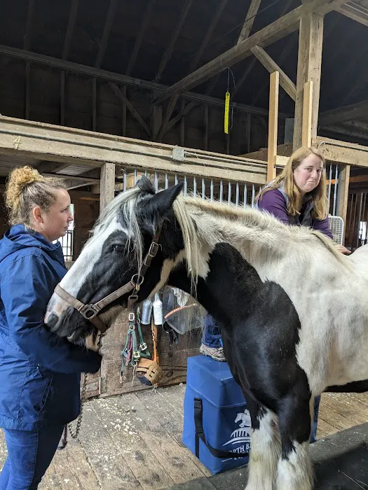 North Bridge Equine Associates 3