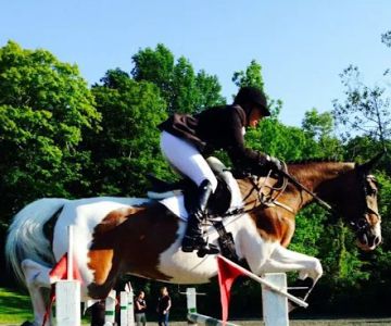 North Bridge Equine Associates
