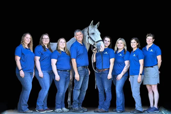 North Bridge Equine Associates 2