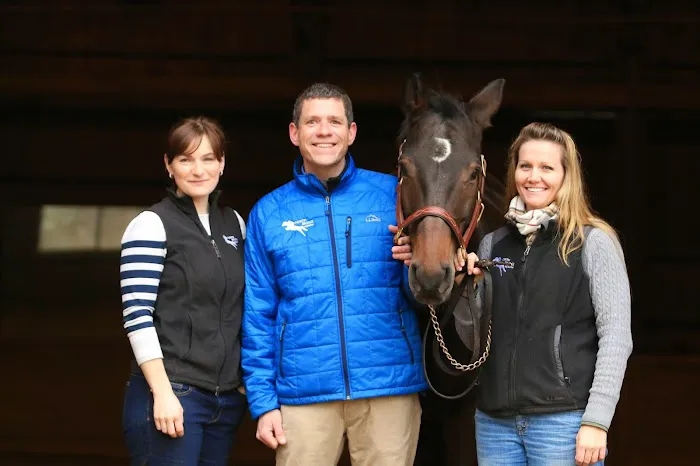 North Bridge Equine Associates 10