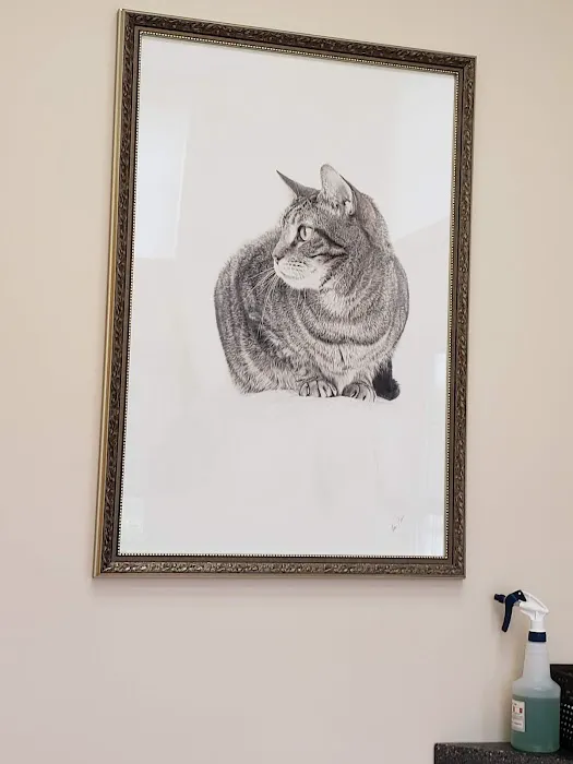 The Cat Doctor of Nashua 1