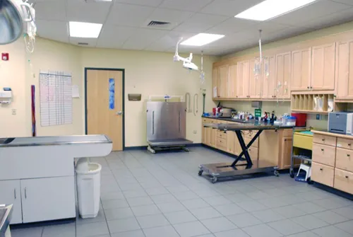VCA Daniel Webster Animal Hospital 6