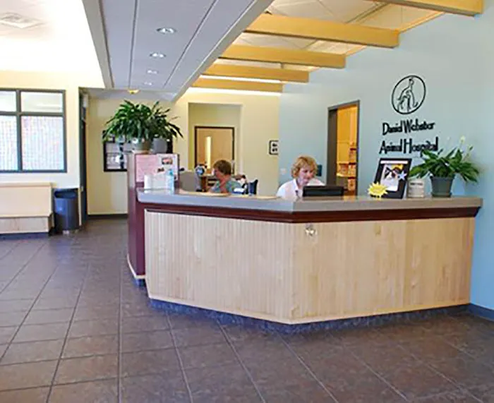 VCA Daniel Webster Animal Hospital 8