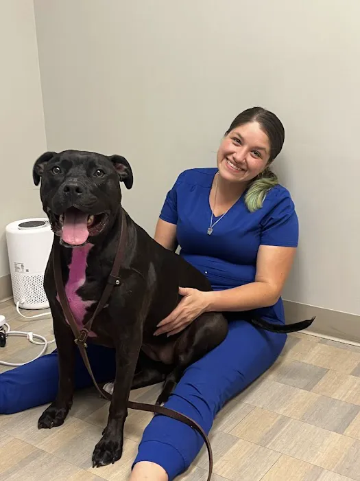 ADAvet Veterinary Clinic 9