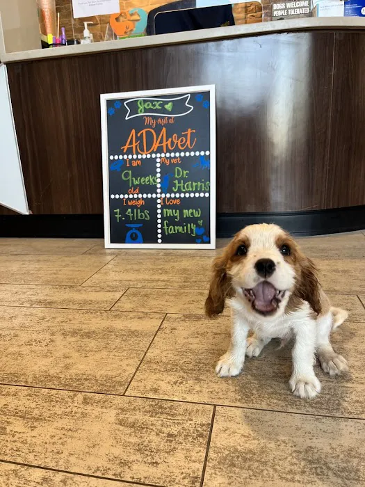 ADAvet Veterinary Clinic 4