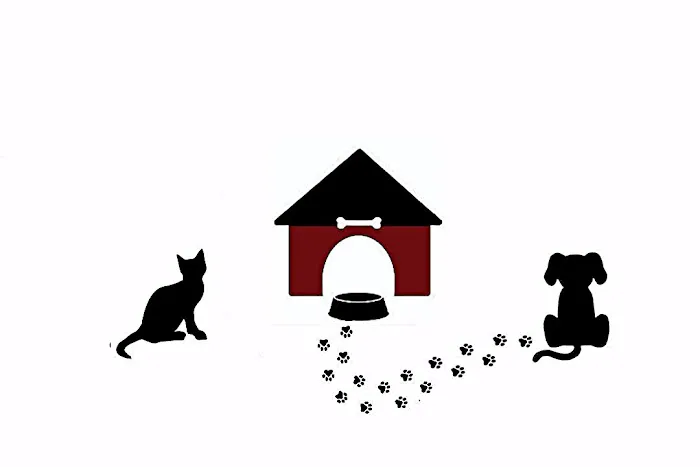 Silk Veterinary Hospital 7