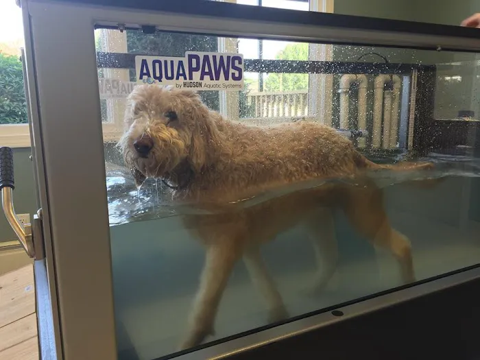 Advanced Veterinary Specialty Center of New England 7