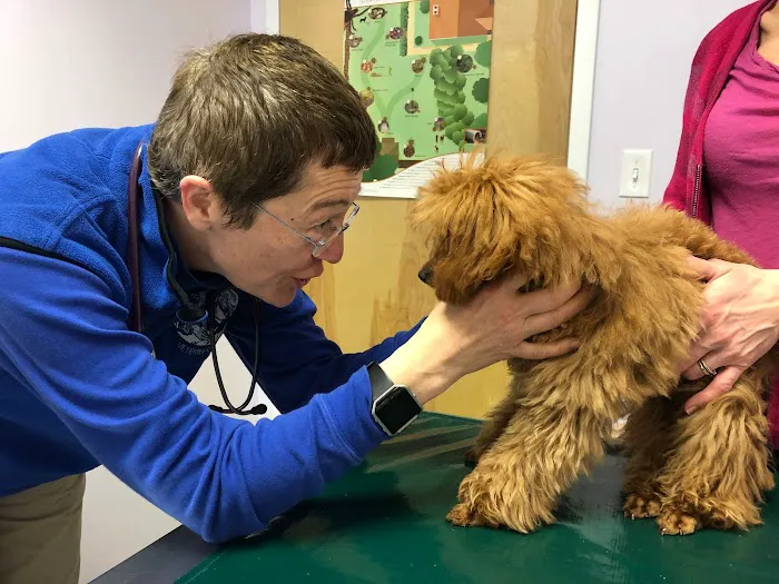 Holmes Family Veterinary Clinic 3