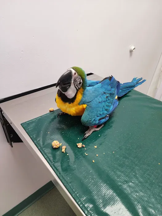 Holmes Family Veterinary Clinic 2