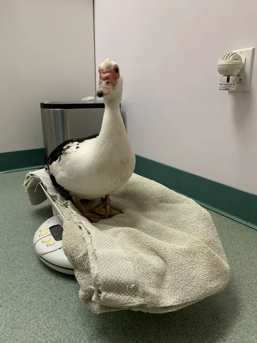 Holmes Family Veterinary Clinic 8